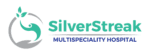 Silver Stik logo